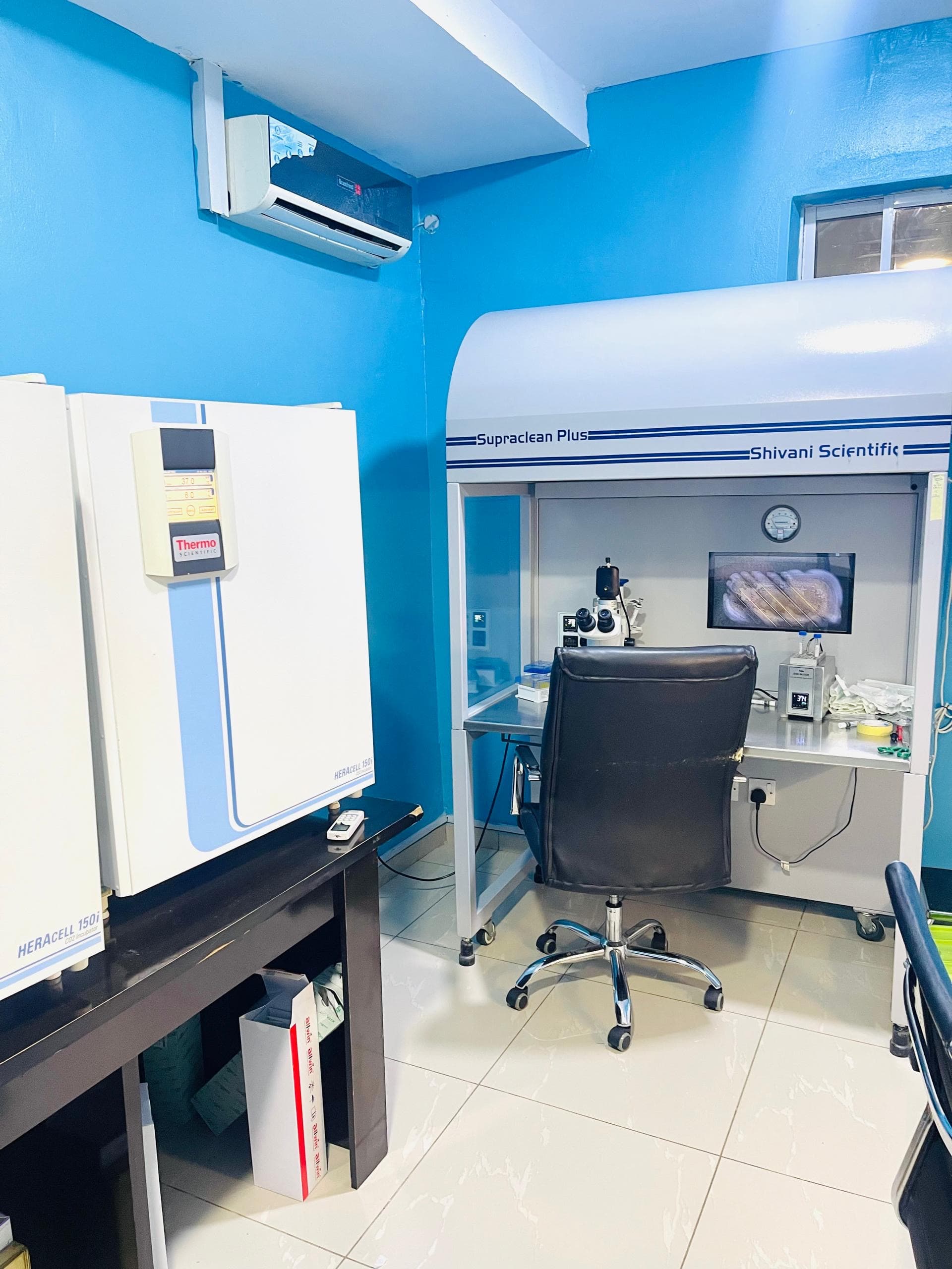 Medical tests in laboratory